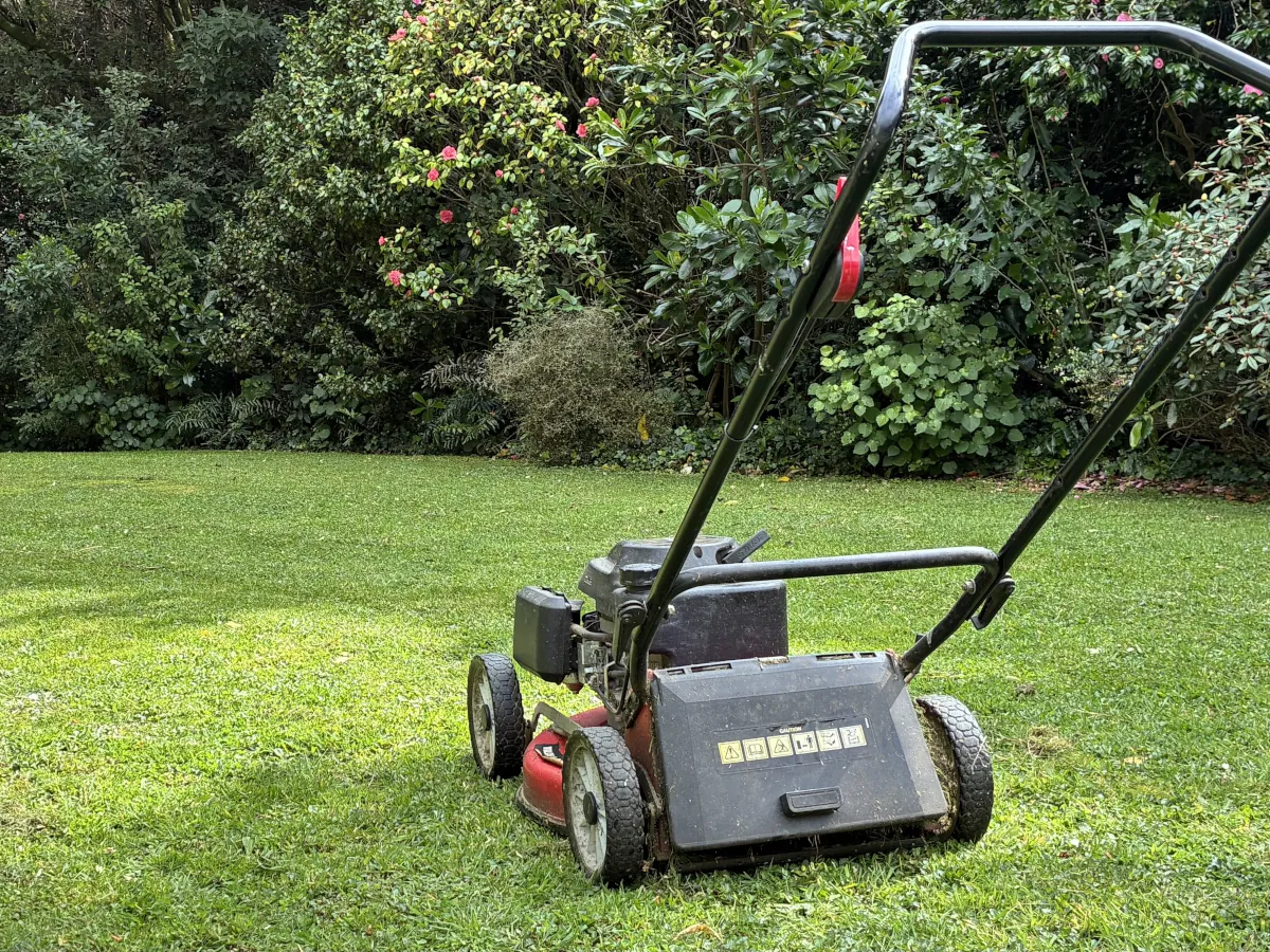 Lawn mower on a neatly cut lawn beside bush